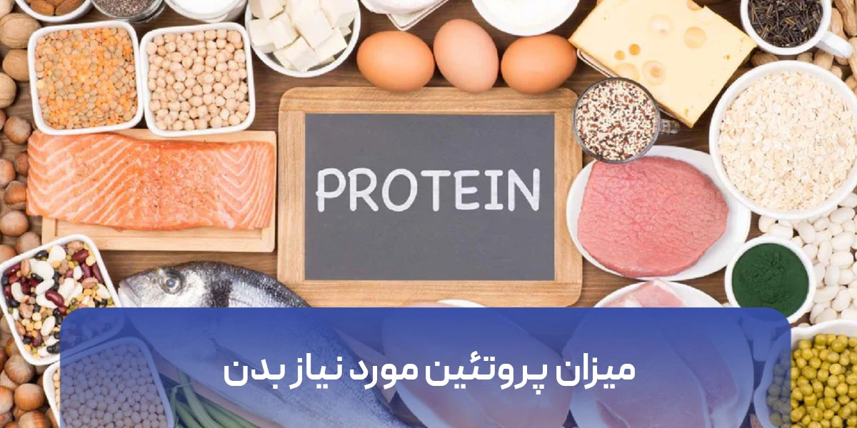 میزان پروتئین مورد نیاز بدن