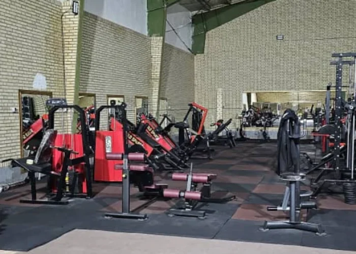 5d5ff0a6e3bb7f8cbae07b4421827974